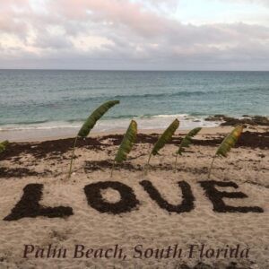 Coaster – Palm Beach Sand Art