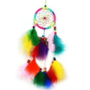 Dreamcatcher with Colorful Feather